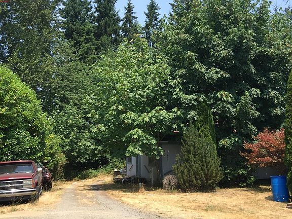 3rd image of 11803 243rd Avenue Ct E