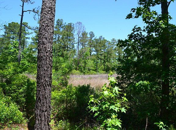 3rd image of 76 Bailey Pointe Drive