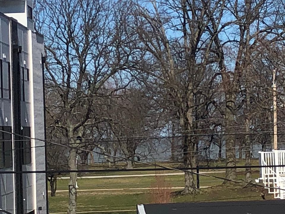 Lake View from back bedroom & balcony