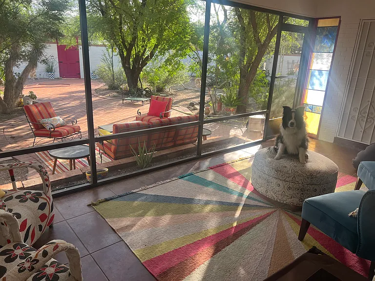 Arizona room and backyard. (And my dog).