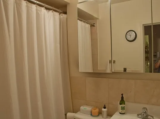 Rented by Citi Habitats | media 15