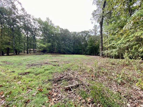 1395 Jewel Dr #36, Southaven, MS 38671