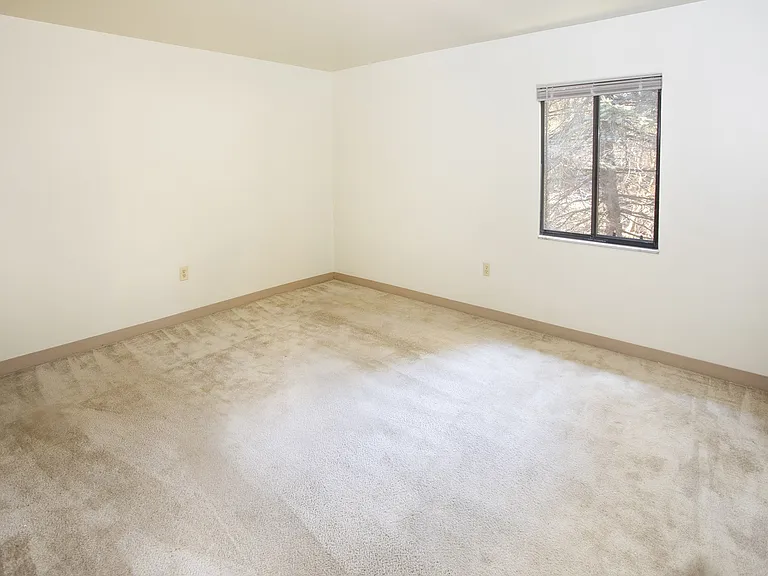Forest Apartments — Photo 5