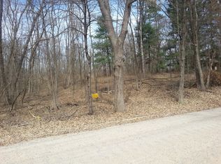 Parcel #2 Welle Road, HAMBURG TOWNSHIP, MI 48139