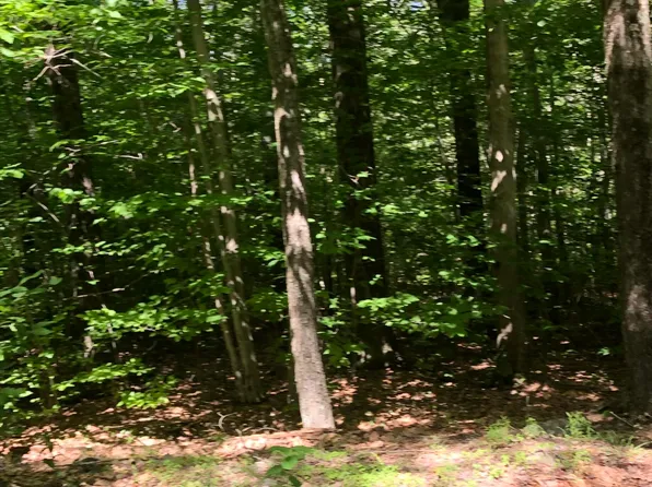 7 Chitimacha Dr, Pocono Lake, PA 18347