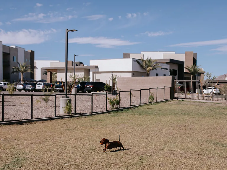 Enclosed Pet Park at The Park