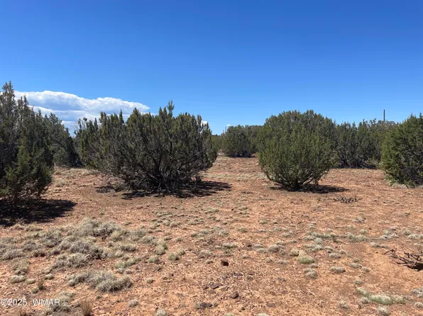 108 Colorado Ave, Concho, AZ 85924