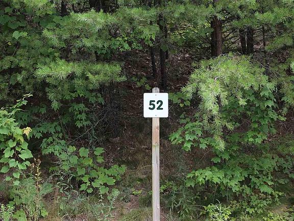 4th image of 52 Mountain Ash Way Lot 52