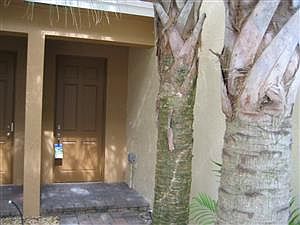 1st image of 849 Pipers Cay Dr