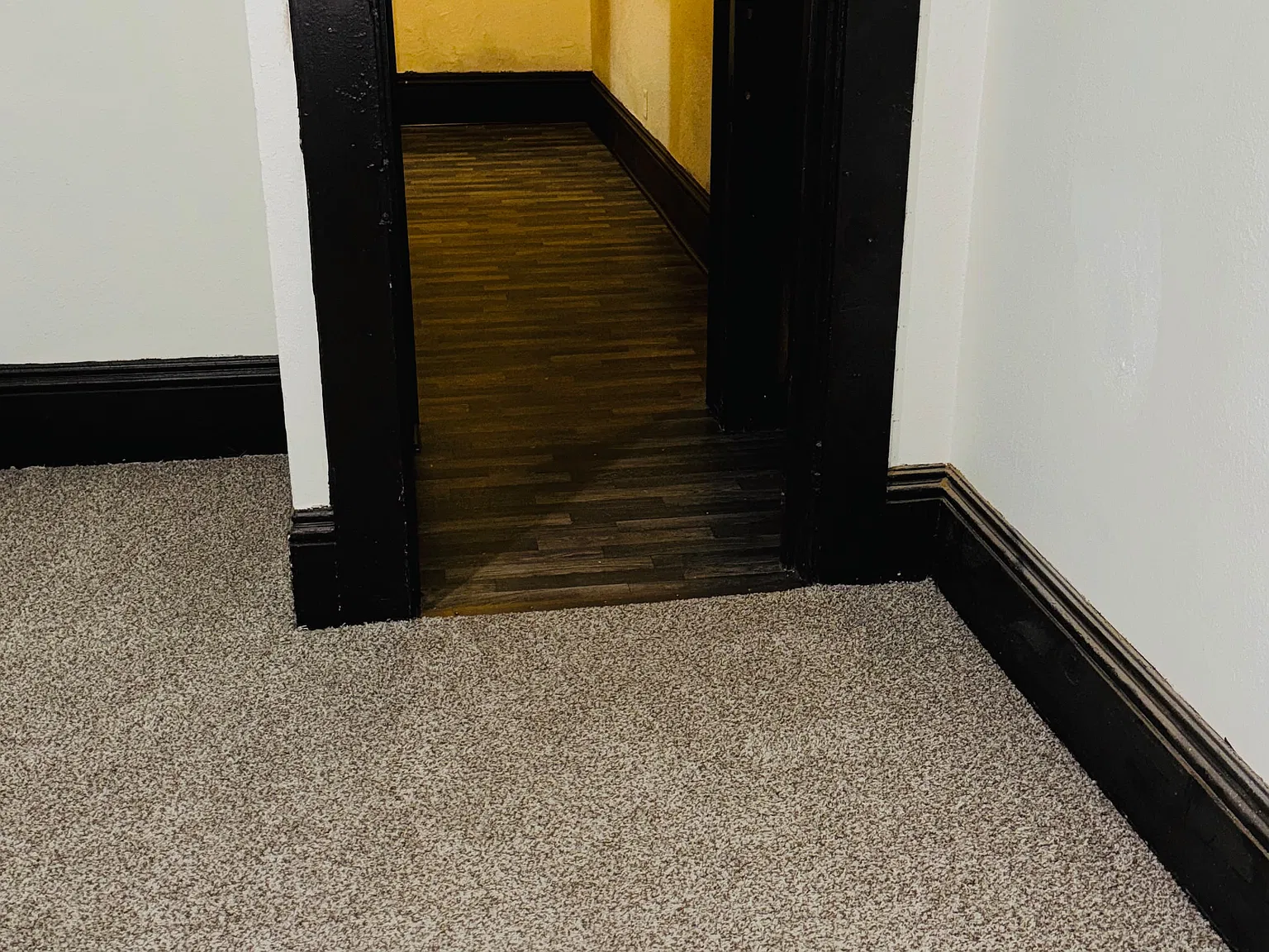 Spacious 1 bed 1 bath — Photo 3