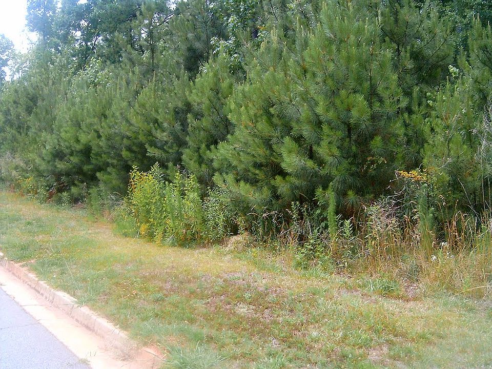 1st image of 40 Wildcat Creek Dr