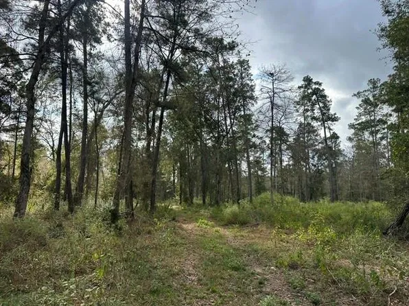 2 Salem Church Rd, Willis, TX 77378