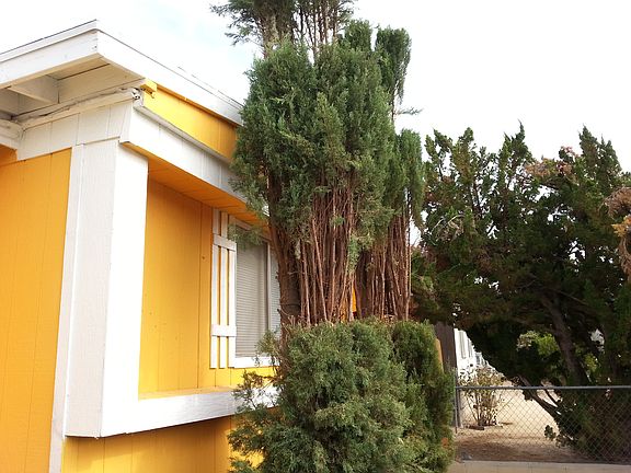 Street View 2