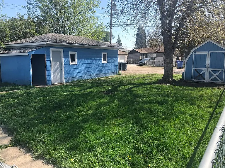 Backyard_06242026