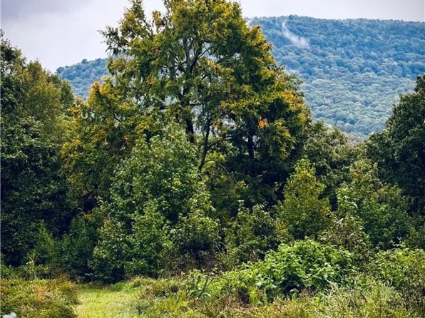 Nc 8465/parthenon, Parthenon, AR 72666