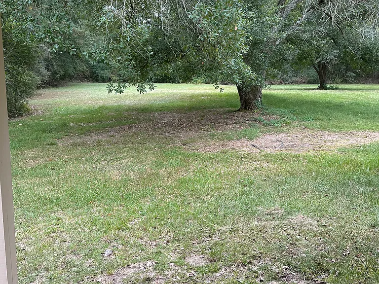 518 Jan Dr — Photo 9