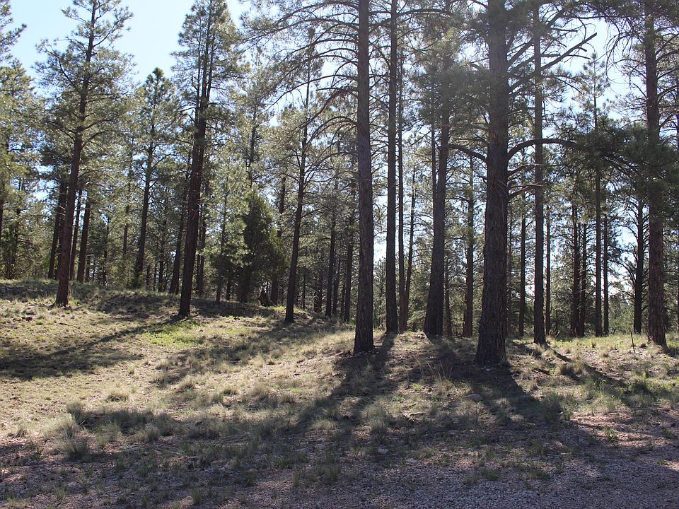 1st image of 2960 S Solitaires Canyon Dr