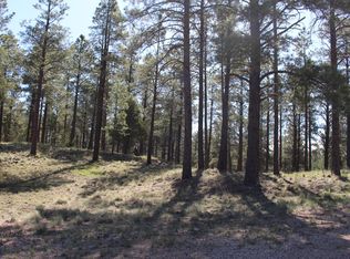 2960 S Solitaires Canyon Dr, Flagstaff, AZ 86005