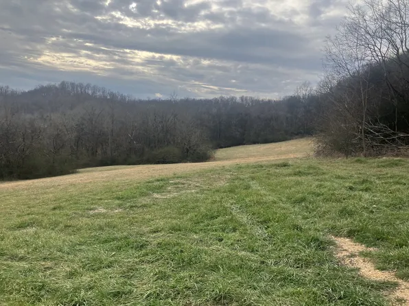 15 Booker Ridge Rd Lot 15, Mount Pleasant, TN 38474