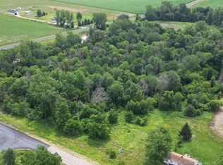 Frenchline & Ruth Rd, Carsonville, MI 48419