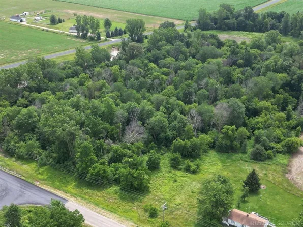Frenchline & Ruth Rd, Carsonville, MI 48419