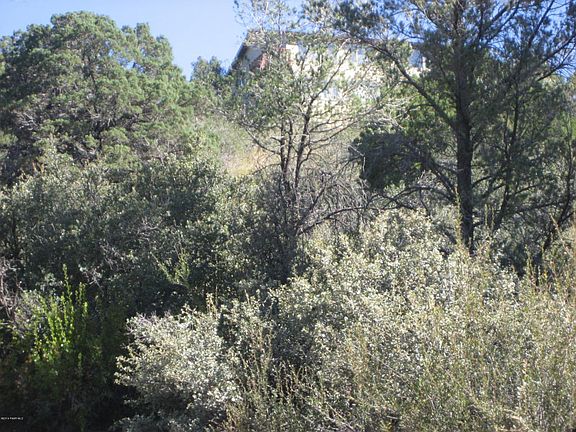 4th image of 509 Quail Hollow Dr