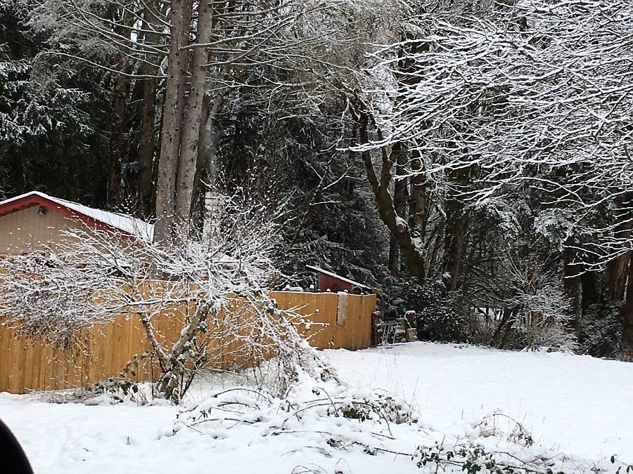 2nd image of 30029 411th Ave NE