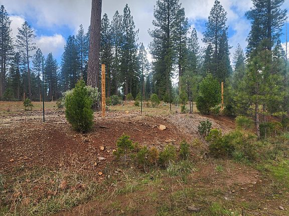5th image of Waterleaf Ln