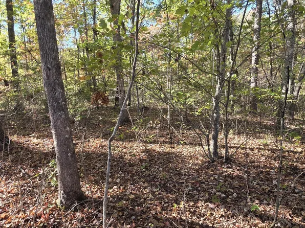 4 Austin Dr, Monterey, TN 38574