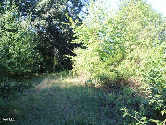 4th image of 275 Strayhorn Lake Dr