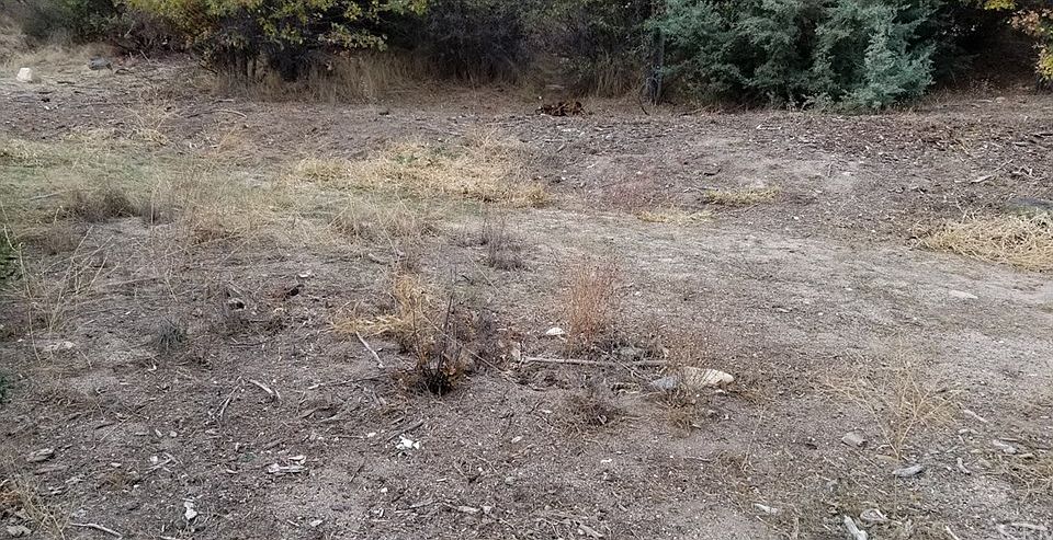 1st image of 880 Palm Ln