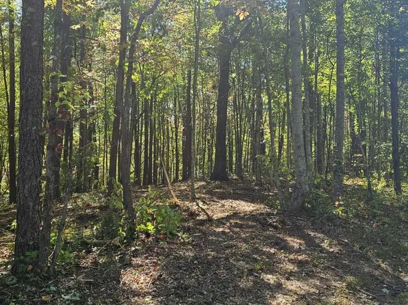 208 Old Furnace Rd, Tellico Plains, TN 37385