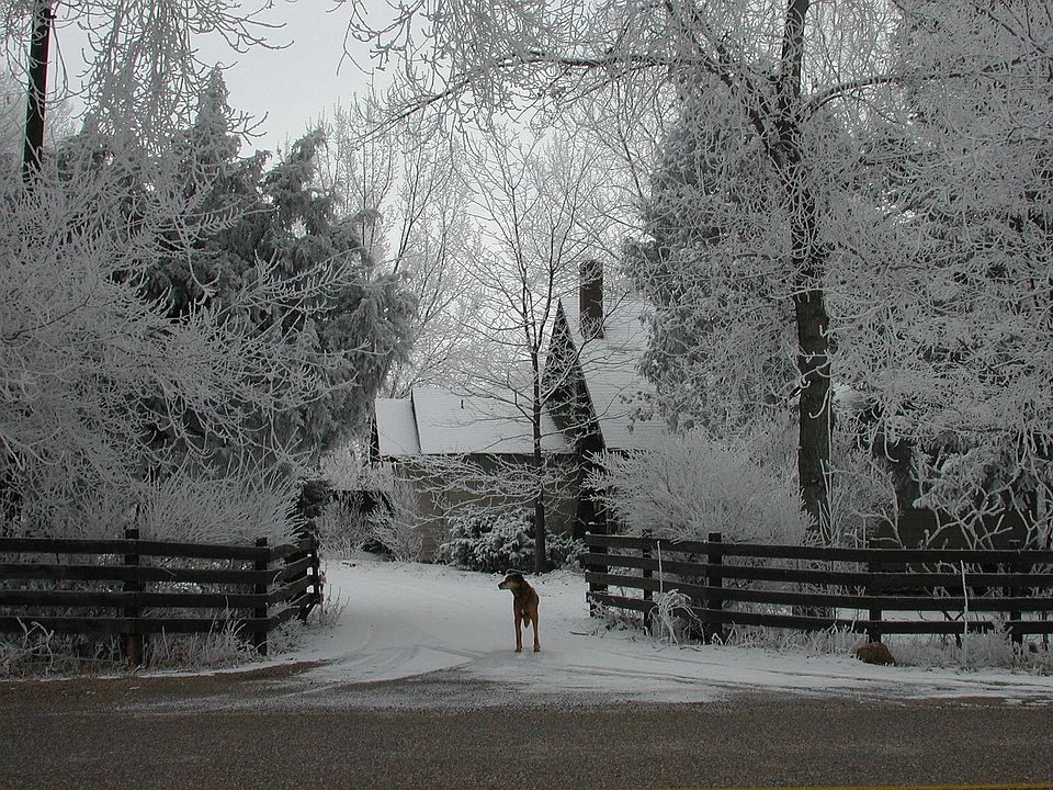 1st image of 1604 S County Road 15