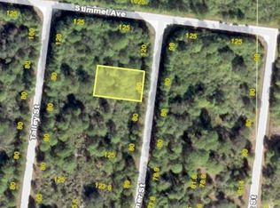7355 Widmer St, Port Charlotte, FL 33981
