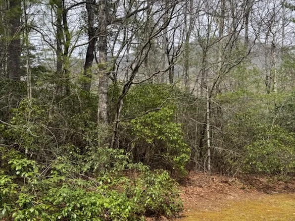 72 Big Pine Road, Sapphire, NC 28774