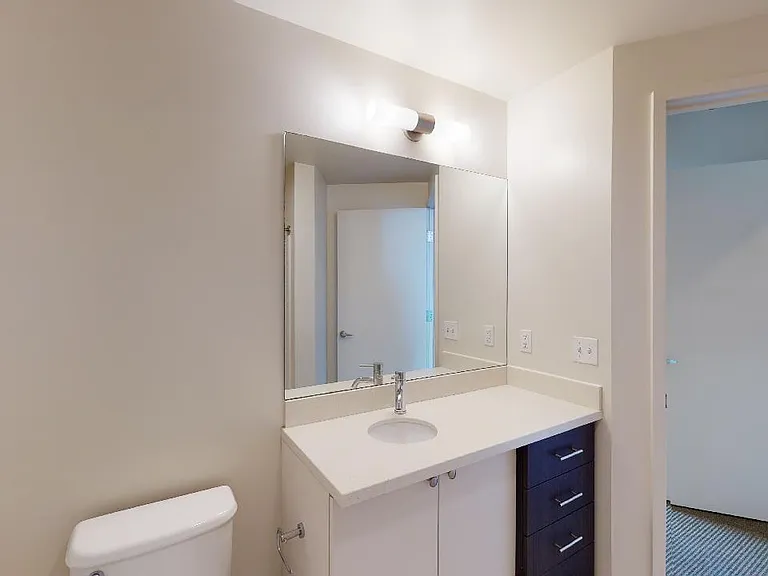 Apartment bathroom with wood-style flooring.