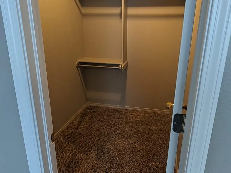 3008 Pinelake St — Photo 5