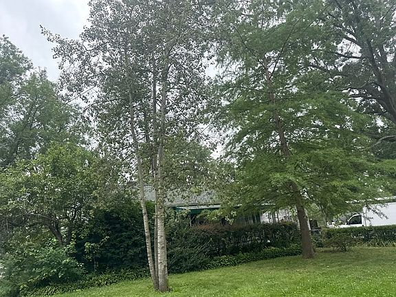 3rd image of 2234 Windemere Ave