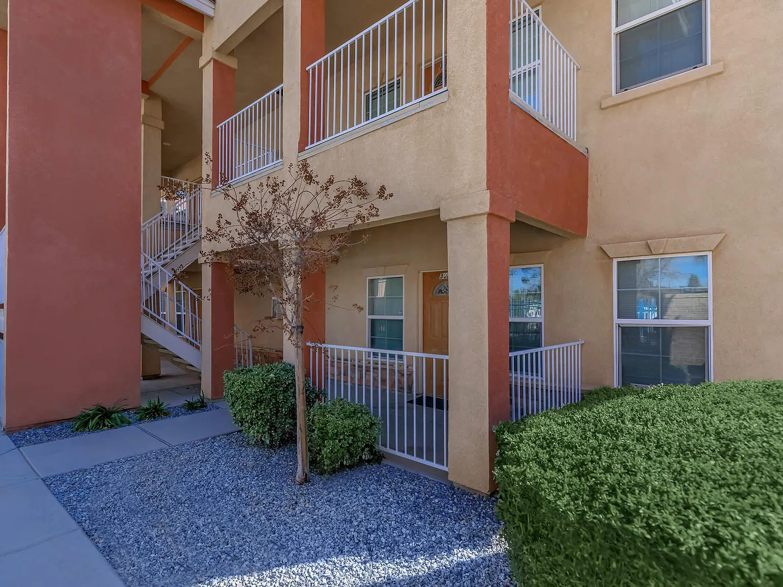 Olive Terrace — Photo 2