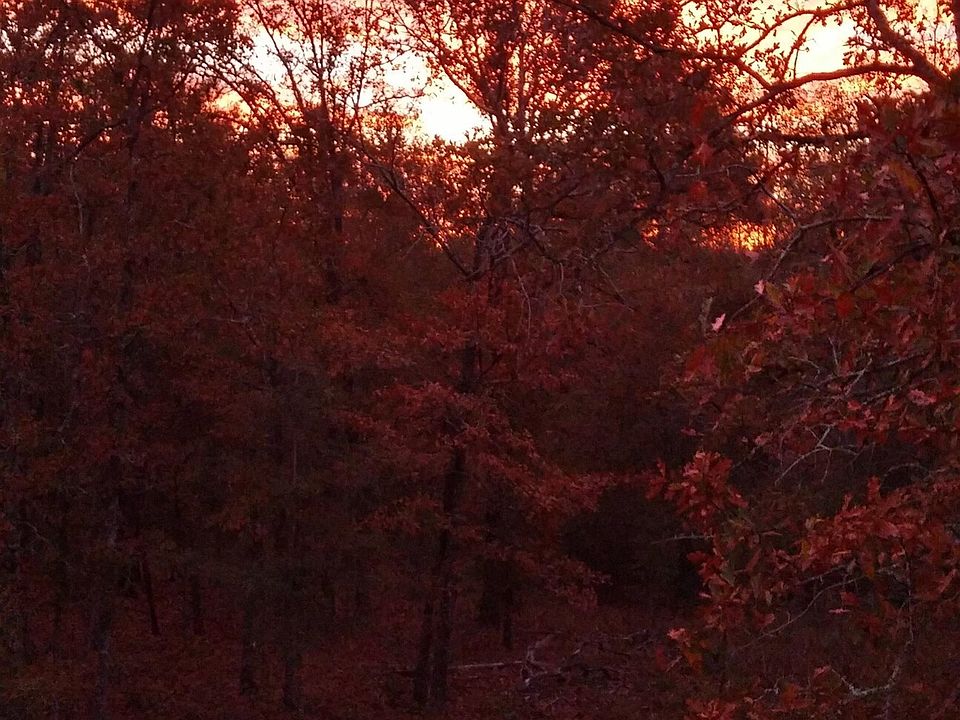 0 Colter Rd, Cadwell, GA 31009 MLS 20159462 Zillow