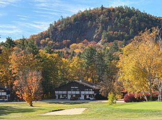 48 Linderhof Golf Course Rd #1, Glen, NH 03838