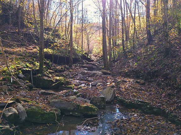 20th image of 0 Hollis Creek Rd S