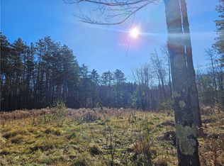 37 Coy Hill Rd, Spencer, NY 14883