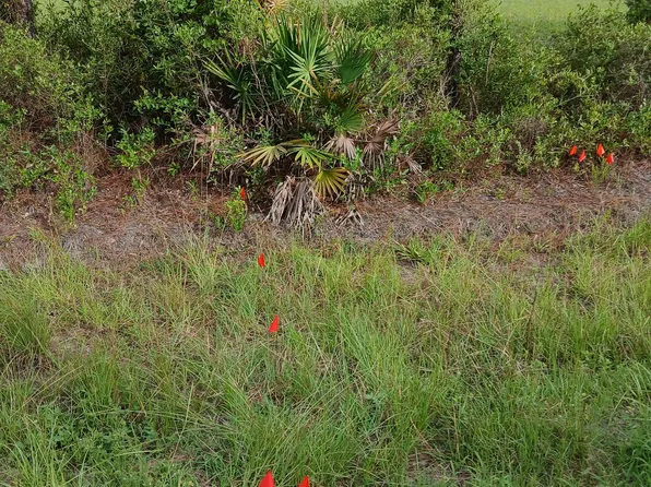 LOT Of Boulevard St #A, Folkston, GA 31537