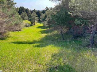 Vl C Lynn Rd, Bellaire, MI 49615