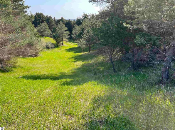 Vl C Lynn Rd, Bellaire, MI 49615