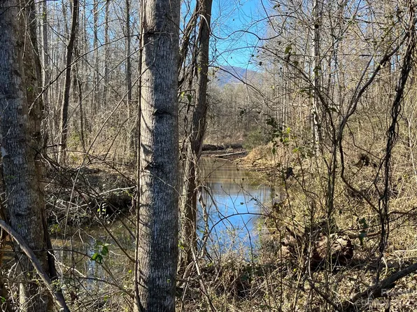 999 Medicine Mine Rd Tract 12, Columbus, NC 28722