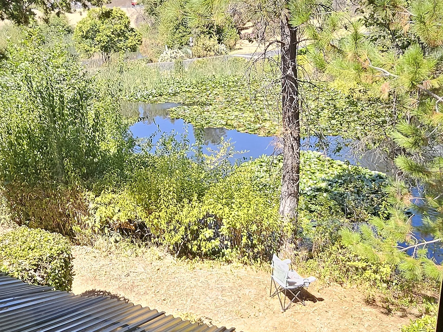 2 bed, 1.5 bath, 905 sqft, $2,300 — Photo 1