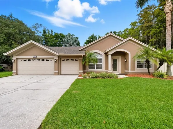 4875 Eagle Cove North Dr, Palm Harbor, FL 34685