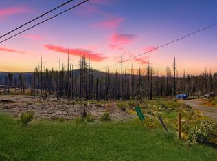 10020 Grizzly Flat Rd, Grizzly Flats, CA